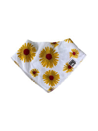 Little Bandit Bibs - Bandana Bibs Assorted Colours